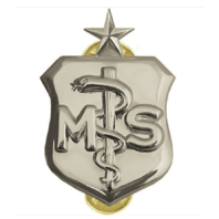Vanguard AIR FORCE BADGE: MEDICAL SERVICE: SENIOR