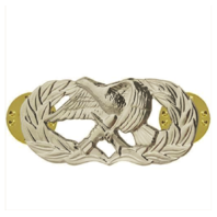 Vanguard AIR FORCE BADGE: AIR MAINTENANCE MUNITION - REGULATION SIZE