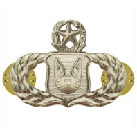 Vanguard AIR FORCE BADGE: OPERATIONS SUPPORT: MASTER - REGULATION SIZE