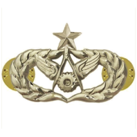 Vanguard AIR FORCE BADGE: CIVIL ENGINEER: SENIOR - REGULATION SIZE