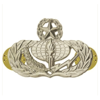 Vanguard AIR FORCE BADGE: SERVICES: MASTER - REGULATION SIZE