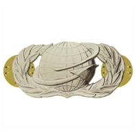 Vanguard AIR FORCE BADGE: MANPOWER AND PERSONNEL