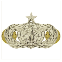 Vanguard AIR FORCE BADGE: FORCE PROTECTION: SENIOR - REGULATION SIZE