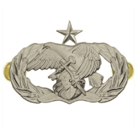 Vanguard AIR FORCE BADGE: LOGISTICS READINESS: SENIOR - REGULATION SIZE