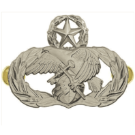 Vanguard AIR FORCE BADGE: LOGISTICS READINESS: MASTER - REGULATION SIZE