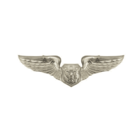 Vanguard AIR FORCE BADGE: OFFICER AIRCREW - MINIATURE