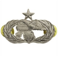 Vanguard AIR FORCE BADGE: TRANSPORTATION: SENIOR - MIDSIZE