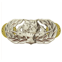Vanguard AIR FORCE BADGE: CYBERSPACE SUPPORT: BASIC - MIDSIZE