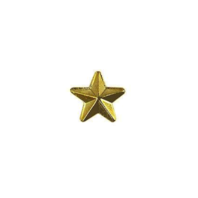 Vanguard ARMY IDENTIFICATION BADGE GOLD STAR FOR RECRUITER - HARD CORPS METAL