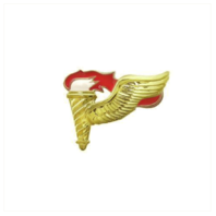 Vanguard ARMY DRESS BADGE: PATHFINDER - MINIATURE, MIRROR FINISH