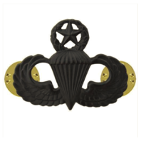 Vanguard ARMY BADGE: MASTER PARACHUTE - REGULATION SIZE, BLACK METAL