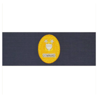 Vanguard COAST GUARD BADGE: ENLISTED ADVISOR E9 COMMAND: RIPSTOP FABRIC