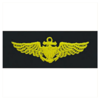 Vanguard COAST GUARD BADGE: AVIATOR - RIPSTOP FABRIC