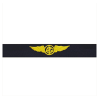 Vanguard COAST GUARD BADGE: AIR CREW - RIPSTOP FABRIC