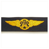 Vanguard COAST GUARD EMBROIDERED BADGE: RESCUE SWIMMER - RIPSTOP FABRIC