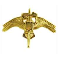 Vanguard MARINE CORPS BADGE: MARSOC MARINE CORPS FORCES SPECIAL OPS COMMAND