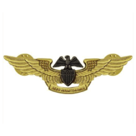 Vanguard NAVY BADGE: PROFESSIONAL AVIATION MAINTENANCE OFFICER