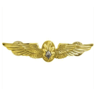 Vanguard NAVY BADGE: FLIGHT SURGEON - REGULATION SIZE