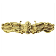Vanguard NAVY BADGE: SURFACE WARFARE DENTAL - REGULATION SIZE