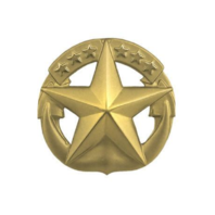 Vanguard NAVY BADGE: COMMAND AT SEA - MINIATURE, GOLD MATTE FINISH