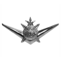 Vanguard AIR FORCE ROTC BADGE CADET SENIOR CYBER SPACE