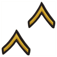 Vanguard ARMY CHEVRON: PRIVATE - GOLD EMBROIDERED ON GREEN, MALE