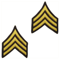 Vanguard ARMY CHEVRON: SERGEANT - GOLD EMBROIDERED ON GREEN, FEMALE