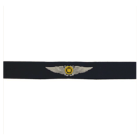Vanguard COAST GUARD AUXILIARY EMBROIDERED BADGE: AVIATOR WINGS - RIPSTOP FABRIC