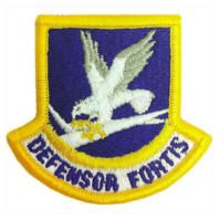 Vanguard AIR FORCE PATCH: SECURITY FORCE ENLISTED - COLOR