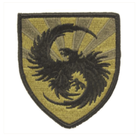 Vanguard ARMY PATCH: 111TH MILITARY INTELLIGENCE BRIGADE - EMBROIDERED ON OCP