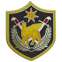 Vanguard ARMY COMBAT SERVICE IDENTIFICATION ARMY ELEMENT MULTI-NAT'L FORCES IRAQ