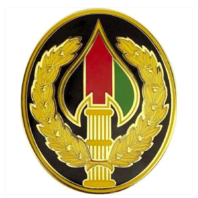Vanguard ARMY COMBAT SERVICE ID BADGE: SPECIAL OPS JOINT TASK FORCE AFGHANISTAN