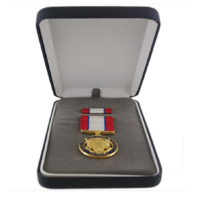 Vanguard MEDAL PRESENTATION SET: ARMY DISTINGUISHED SERVICE