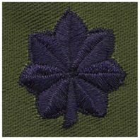 Vanguard AIR FORCE EMBROIDERED RANK: LIEUTENANT COLONEL - SUBDUED FATIGUE
