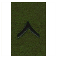 Vanguard ARMY LEADERSHIP RANK TAB: PRIVATE