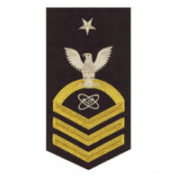 Vanguard NAVY E8 MALE RATING BADGE ELECTRONICS TECHNICIAN SEAWORTHY GOLD ON BLUE