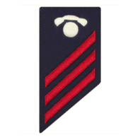 Vanguard COAST GUARD E3 RATING BADGE: INFORMATION SPECIALIST - BLUE