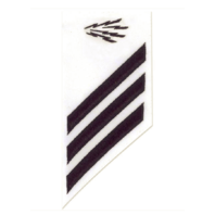 Vanguard NAVY E-3 COMBO RATE: IT INFORMATION TECHNICIAN ON WHITE CNT