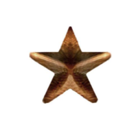 Vanguard RIBBON ATTACHMENTS 5/16 INCH BRONZE STAR