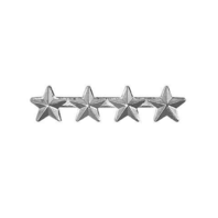 Vanguard RIBBON ATTACHMENT FOUR SILVER STARS MOUNTED ON A BAR