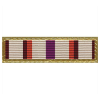 Vanguard DoT Outstanding Achievment Award Ribbon Unit w/ Small Frame