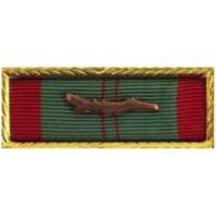 Vanguard RIBBON UNIT: VIETNAM CIVIL ACTION FIRST CLASS WITH PALM AND SMALL FRAME