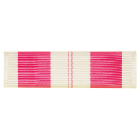 Vanguard RIBBON UNIT: VIETNAM TRAINING SERVICE 1ST CLASS
