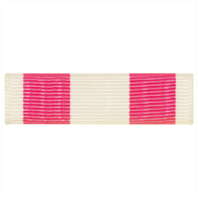 Vanguard RIBBON UNIT: VIETNAM TRAINING SERVICE 2ND CLASS