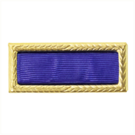 Vanguard ARMY CITATION: PRESIDENTIAL UNIT CITATION: PUC