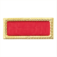 Vanguard ARMY CITATION: MERITORIOUS UNIT COMMENDATION