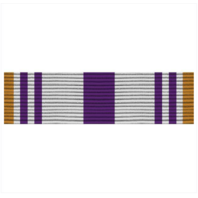Vanguard ARMY ROTC RIBBON UNIT: N-4-5: AJROTC PUBLIC ACHIEVEMENT