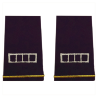 Vanguard ARMY EPAULET: WARRANT OFFICER 4 - SMALL