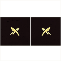 Vanguard NAVY SLEEVE DEVICE: CRYPTOLOGIC TECHNICIAN