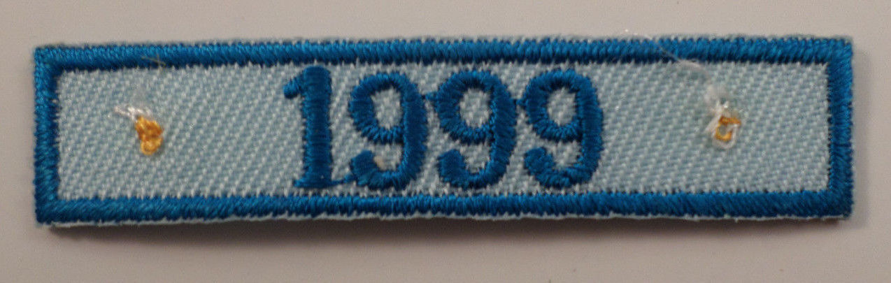 Vintage Uniform Patch 1999 Date Girl Scouts Aqua Color Rocker Bar